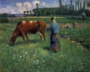 卡米耶毕沙罗 - Girl Tending a Cow in a Pasture